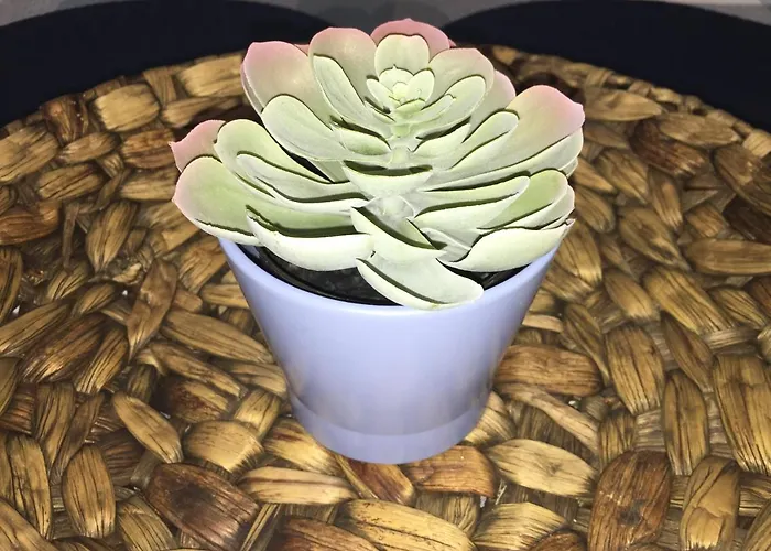 Varandas Do Basalto Appartamento